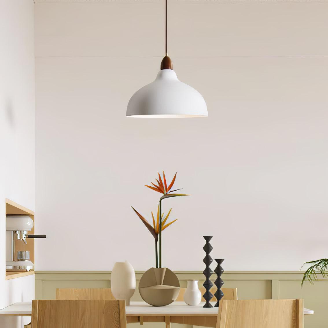 Silas Minimalist Metal Pendant Lamp - Lamp Outdoor