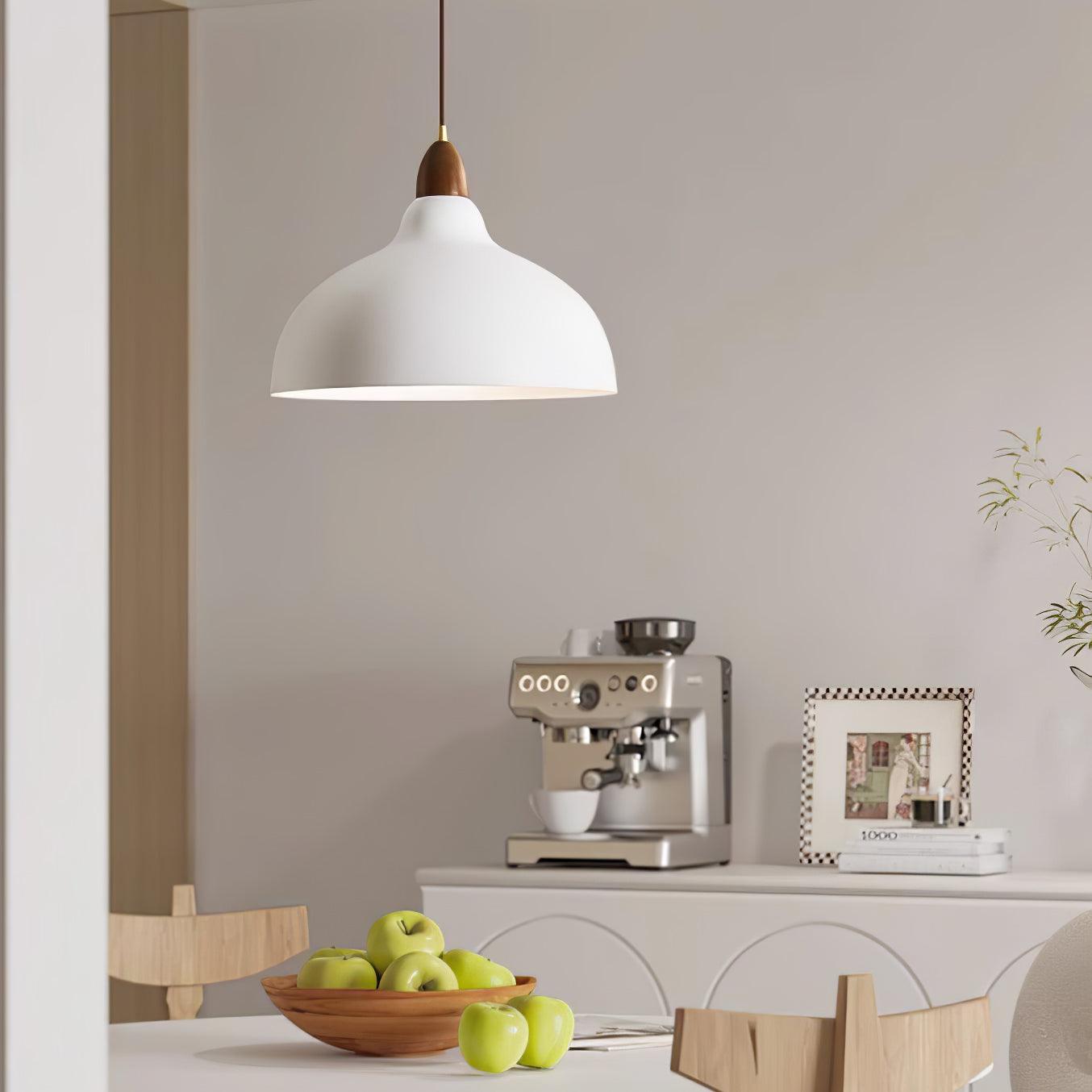 Silas Minimalist Metal Pendant Lamp - Lamp Outdoor