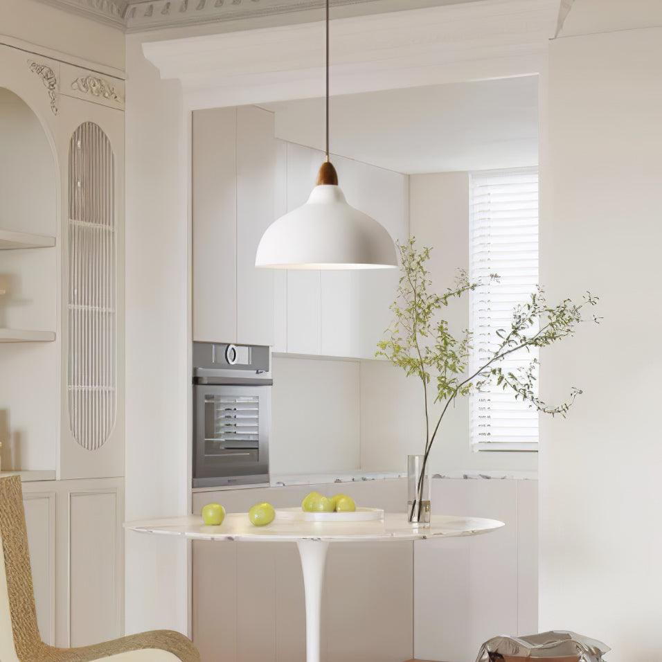 Silas Minimalist Metal Pendant Lamp - Lamp Outdoor