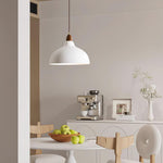 Silas Minimalist Metal Pendant Lamp - Lamp Outdoor