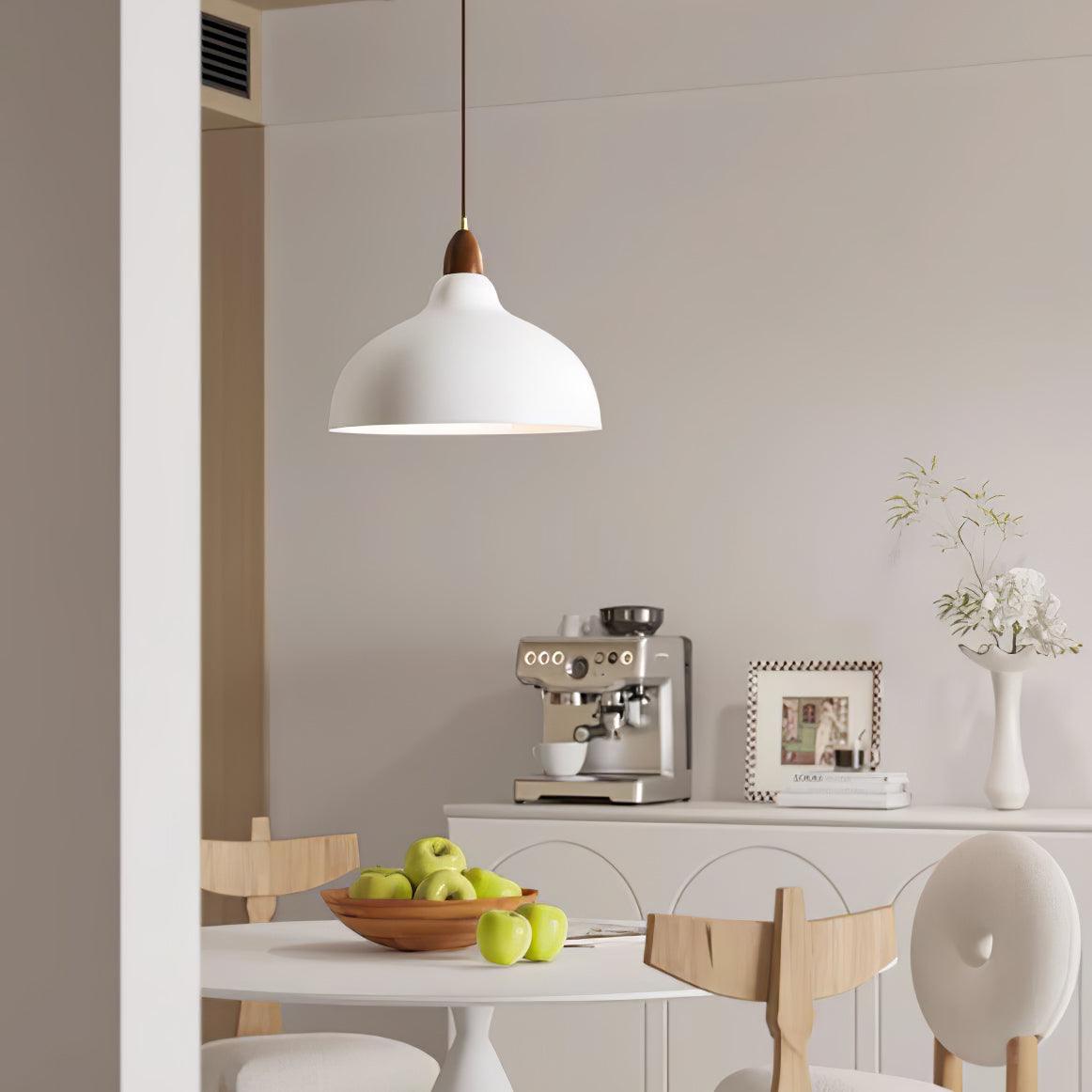 Silas Minimalist Metal Pendant Lamp - Lamp Outdoor