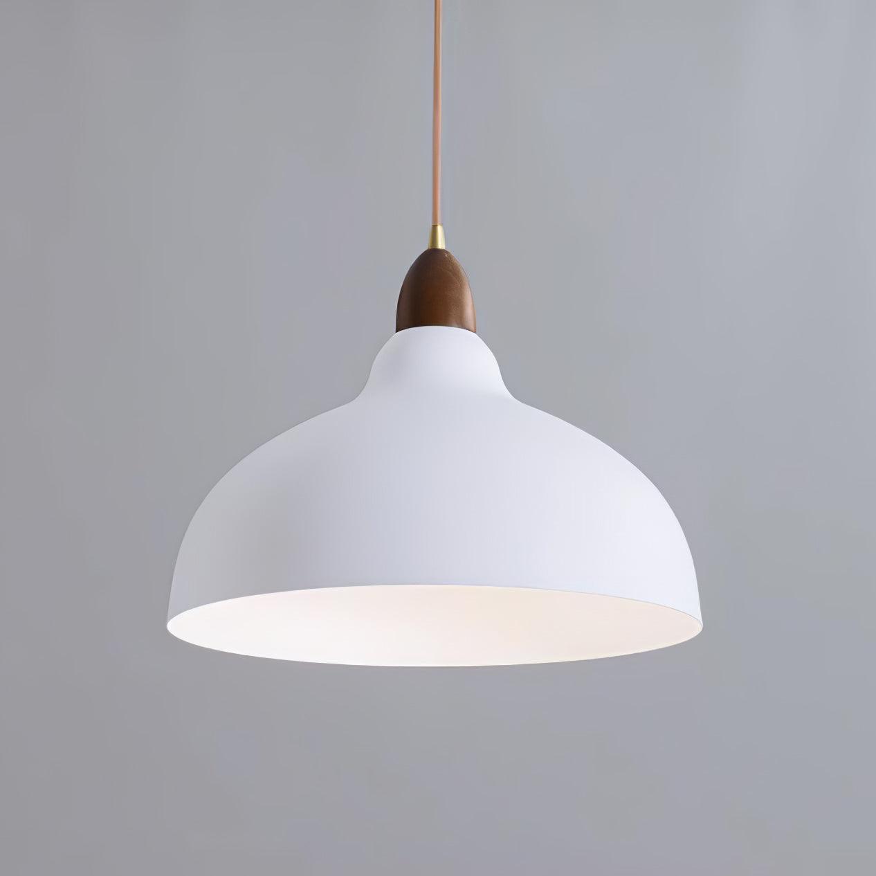 Silas Minimalist Metal Pendant Lamp - Lamp Outdoor