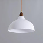 Silas Minimalist Metal Pendant Lamp - Lamp Outdoor