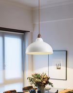 Silas Minimalist Metal Pendant Lamp - Lamp Outdoor