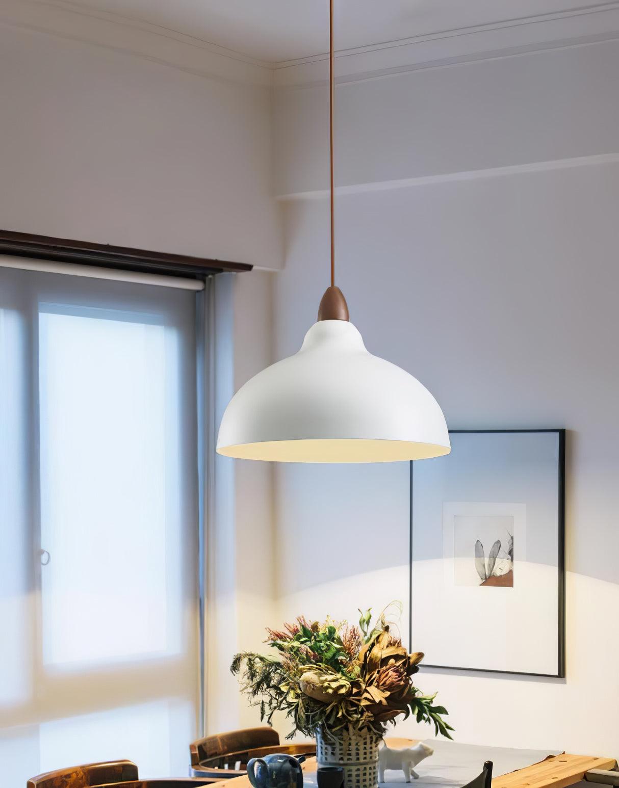 Silas Minimalist Metal Pendant Lamp - Lamp Outdoor