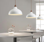 Silas Minimalist Metal Pendant Lamp - Lamp Outdoor