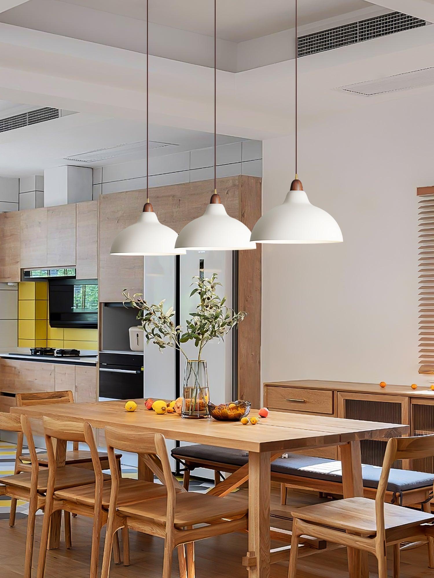 Silas Minimalist Metal Pendant Lamp - Lamp Outdoor