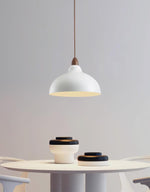Silas Minimalist Metal Pendant Lamp - Lamp Outdoor