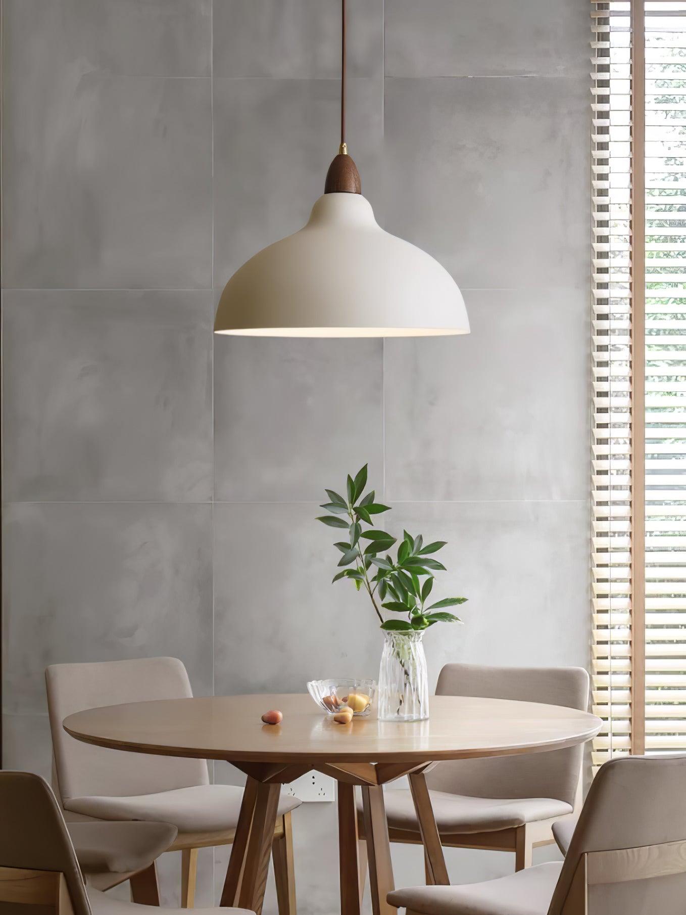 Silas Minimalist Metal Pendant Lamp - Lamp Outdoor