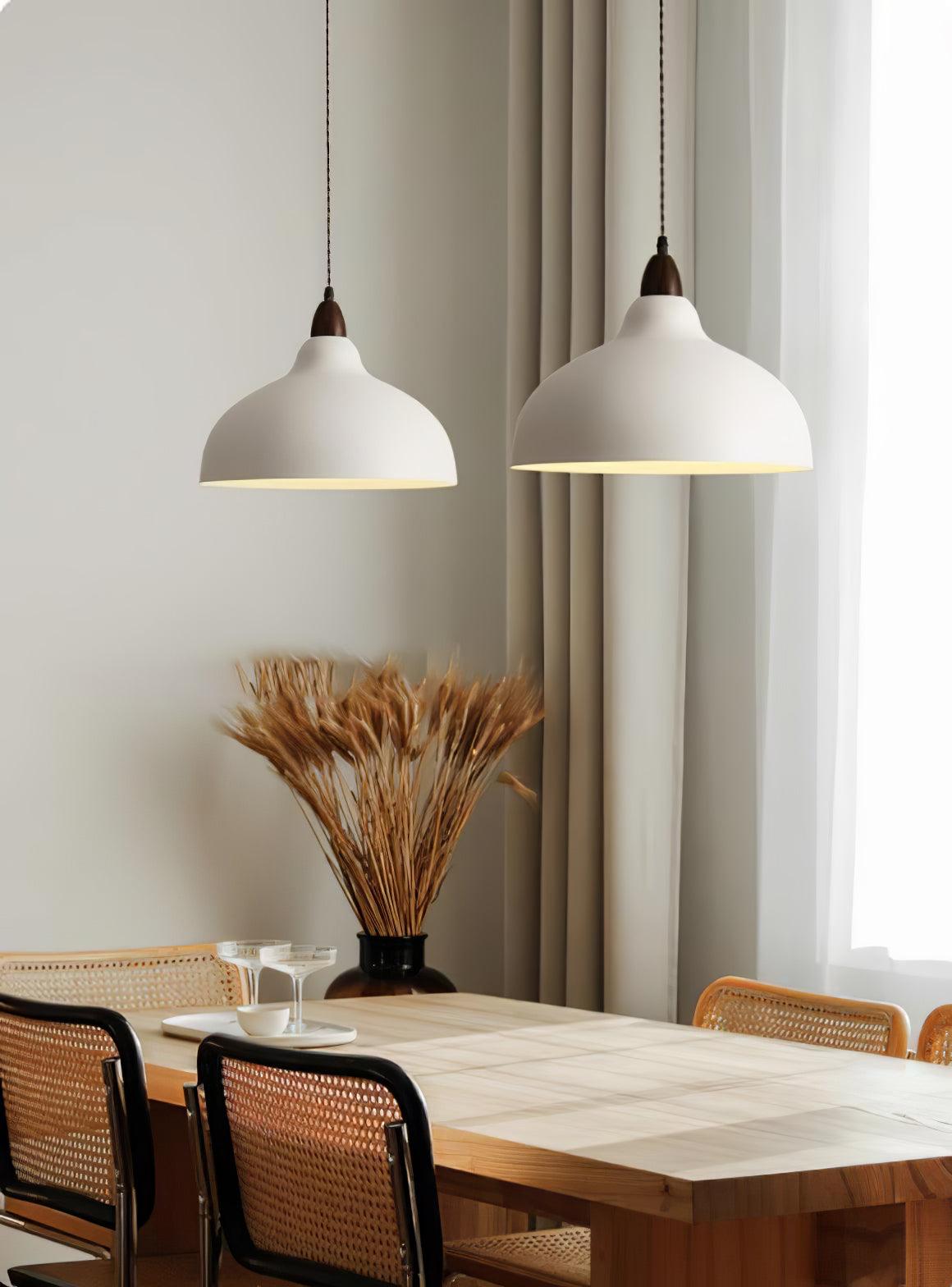 Silas Minimalist Metal Pendant Lamp - Lamp Outdoor