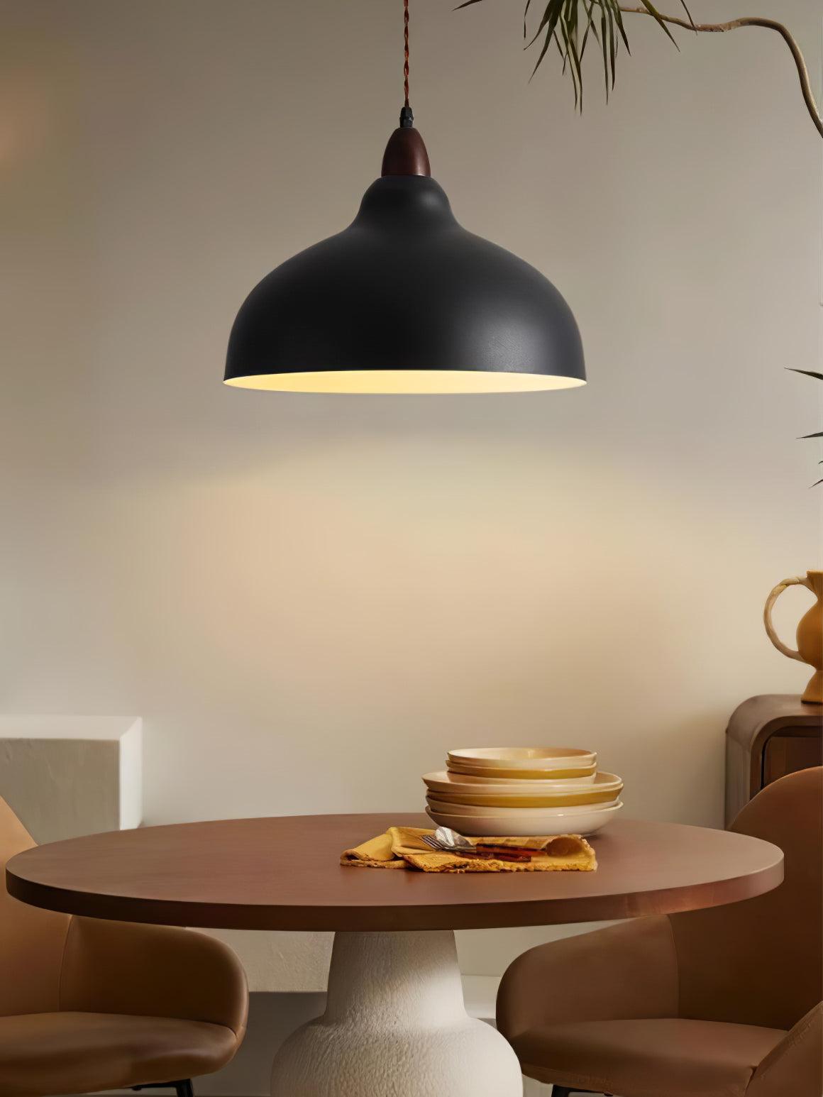 Silas Minimalist Metal Pendant Lamp - Lamp Outdoor