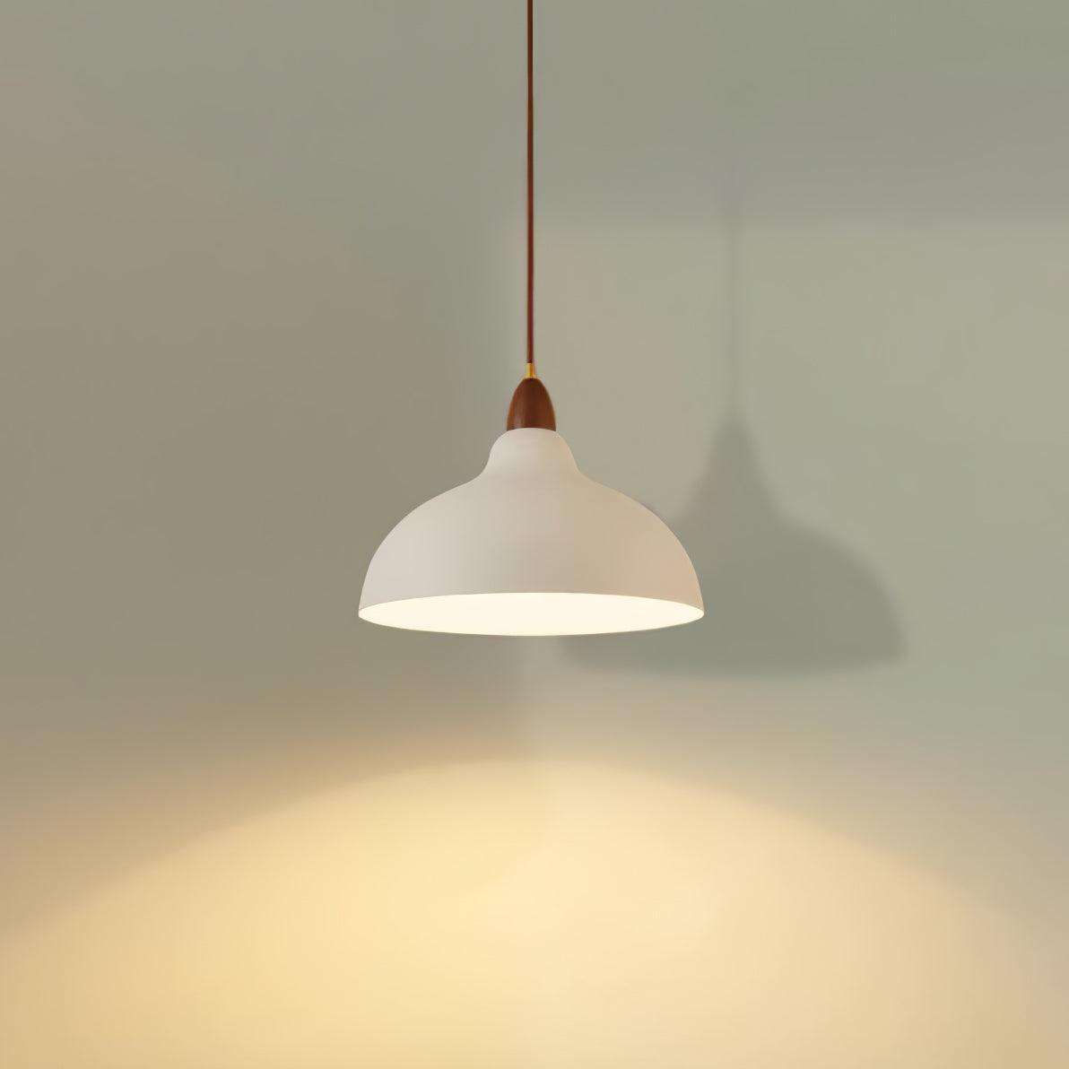 Silas Minimalist Metal Pendant Lamp - Lamp Outdoor