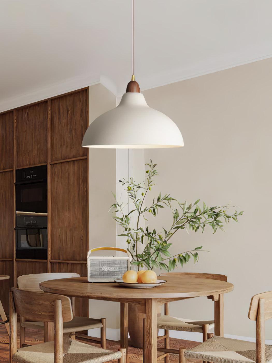 Silas Minimalist Metal Pendant Lamp - Lamp Outdoor