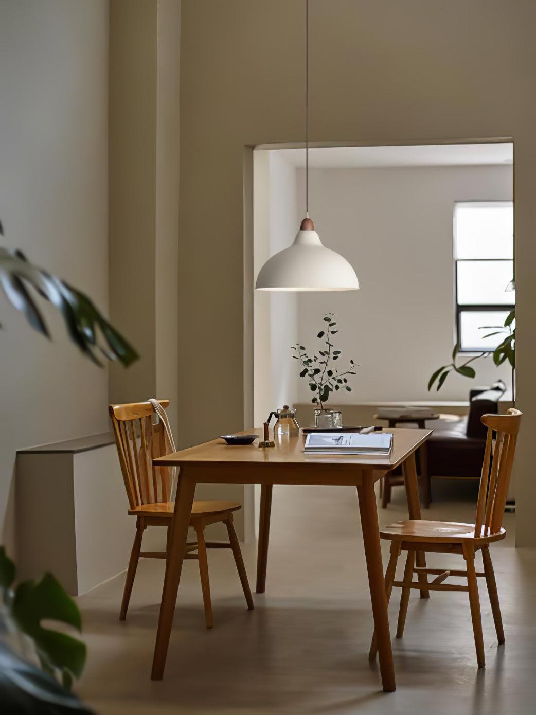 Silas Minimalist Metal Pendant Lamp - Lamp Outdoor