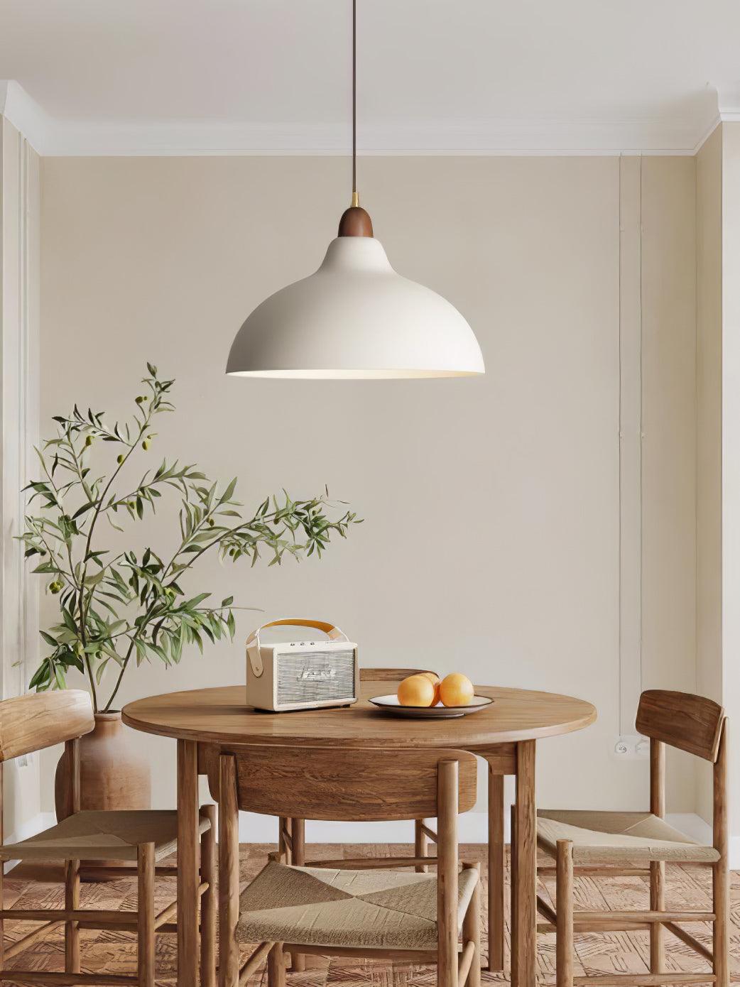 Silas Minimalist Metal Pendant Lamp - Lamp Outdoor