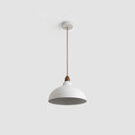 Silas Minimalist Metal Pendant Lamp - Lamp Outdoor