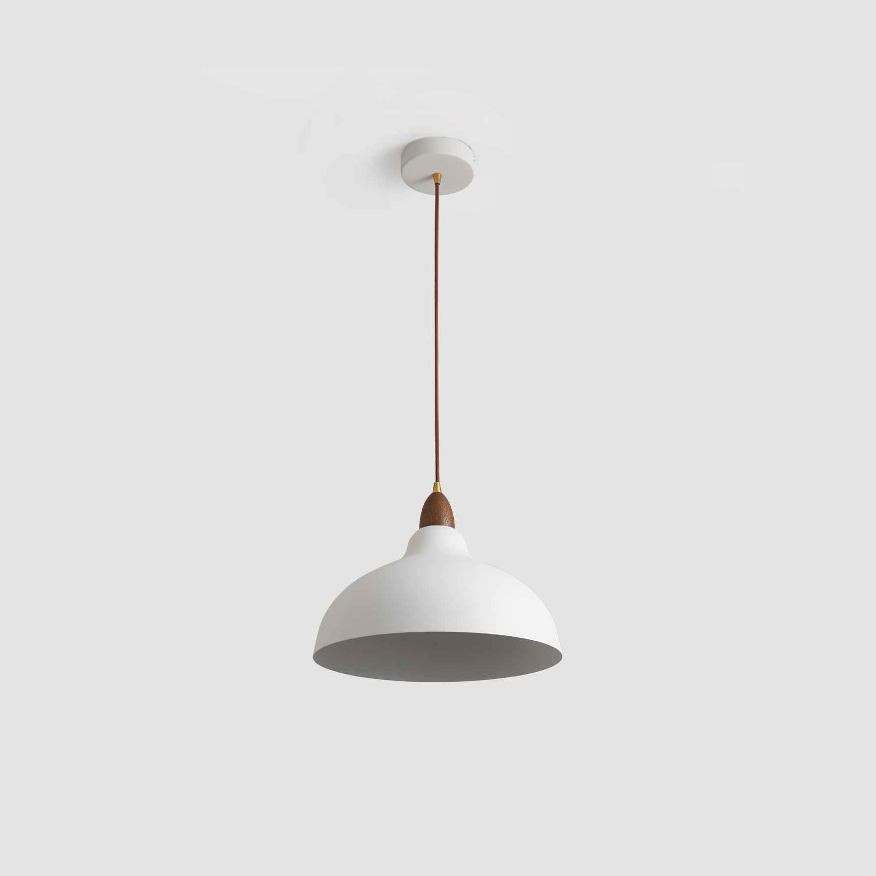 Silas Minimalist Metal Pendant Lamp - Lamp Outdoor