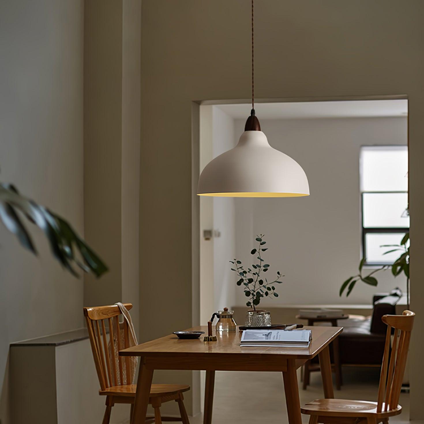 Silas Minimalist Metal Pendant Lamp - Lamp Outdoor