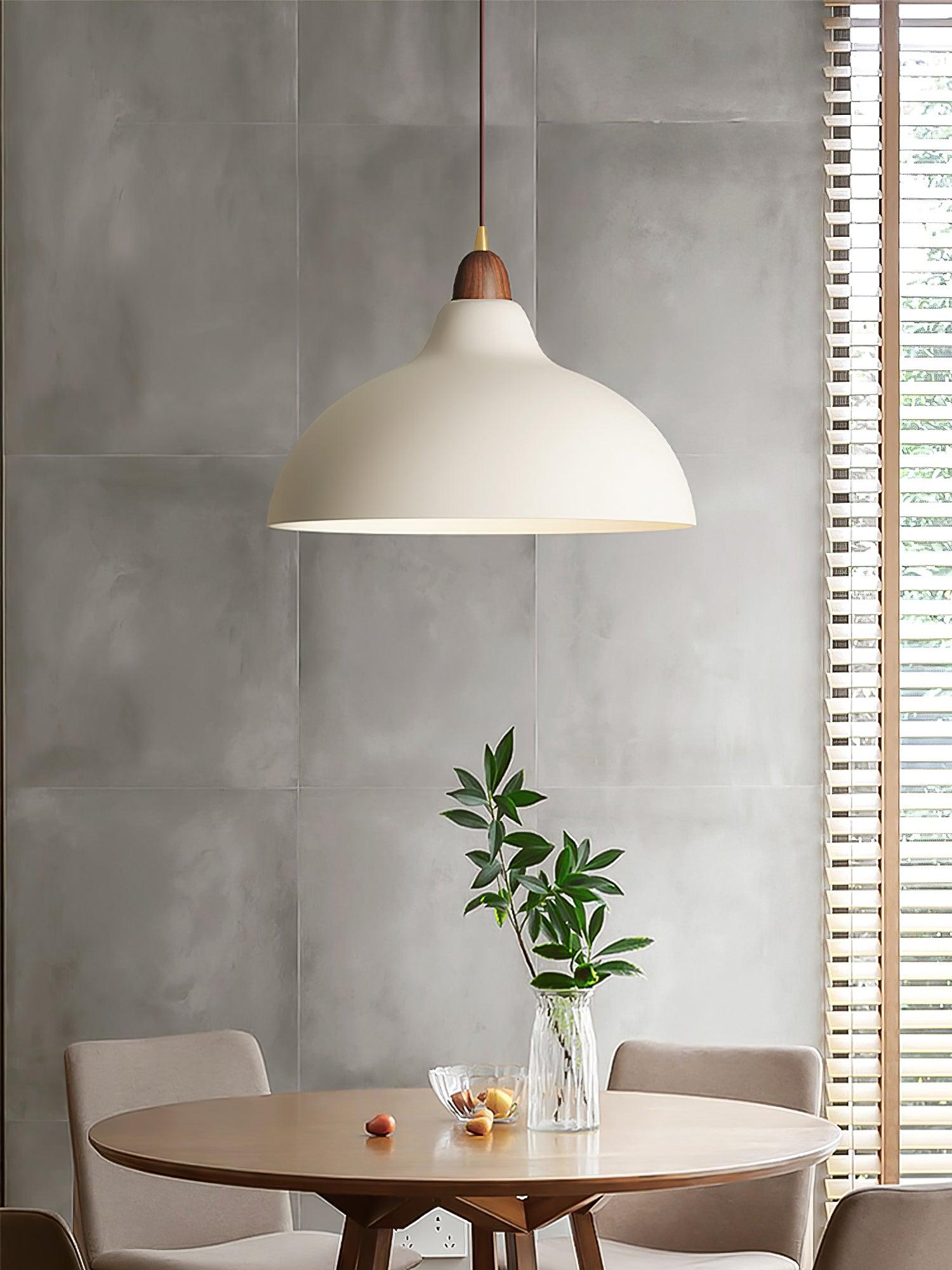 Silas Minimalist Metal Pendant Lamp - Lamp Outdoor