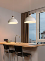 Silas Minimalist Metal Pendant Lamp - Lamp Outdoor