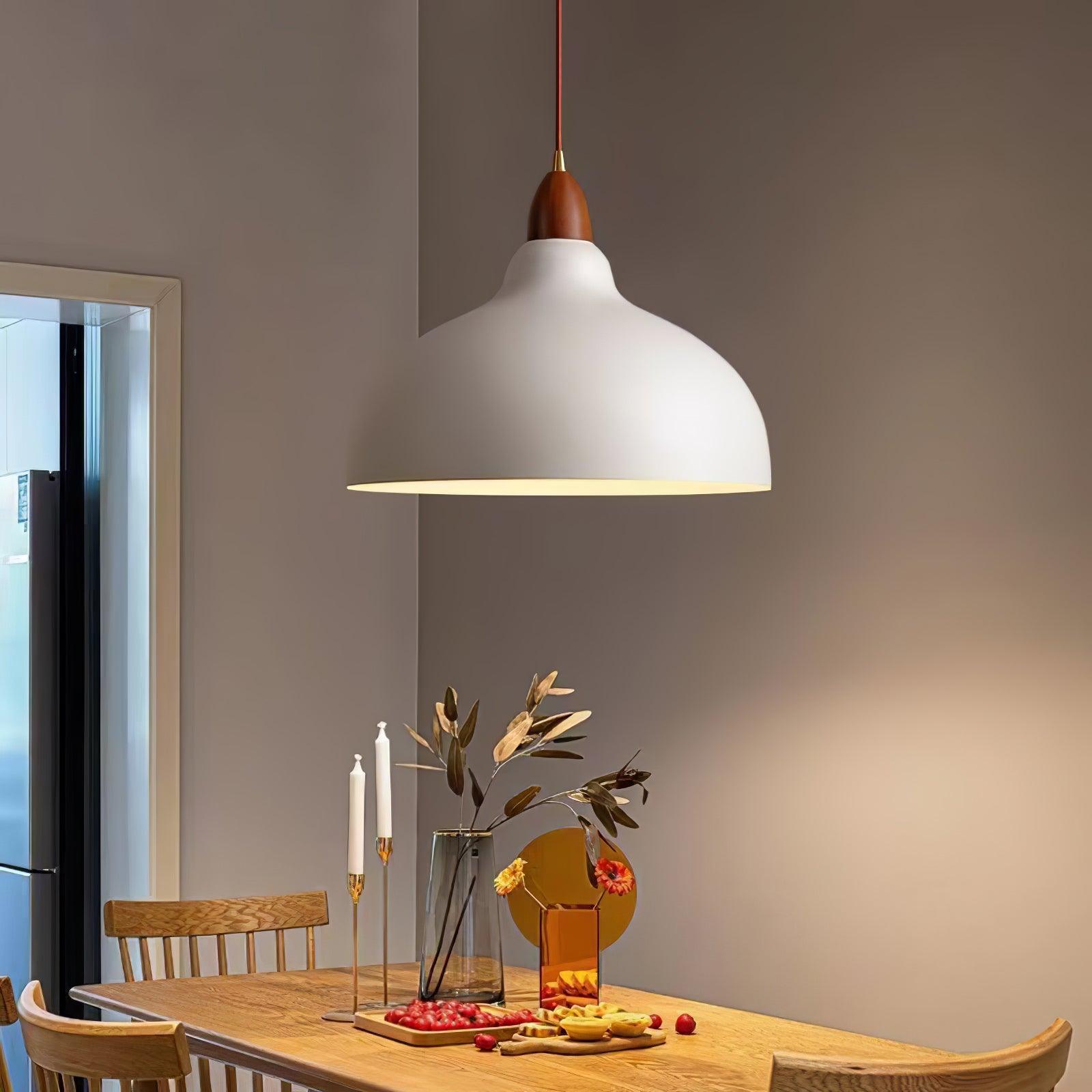 Silas Minimalist Metal Pendant Lamp - Lamp Outdoor