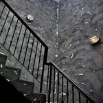 Ray Modern Round/Ellipse Outdoor Waterproof Wall Lamp, 2 Colors - Lamp Outdoor