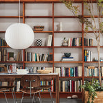 Nelson Swing Arm Pendant Lamp - Lamp Outdoor
