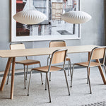 Nelson Swing Arm Pendant Lamp - Lamp Outdoor
