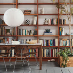 Nelson Swing Arm Pendant Lamp - Lamp Outdoor