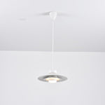 Sadie Minimalist Metal Pendant Lamp - Lamp Outdoor