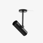 Solara Ceiling Light Cylinder Spotlight Industrial for Loft Study - Letslighting