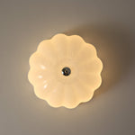 Opal Shell Ceiling Lamp - Lamp Outdoor