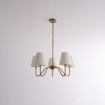 Opaluxe Brass Chandelier - Lamp Outdoor