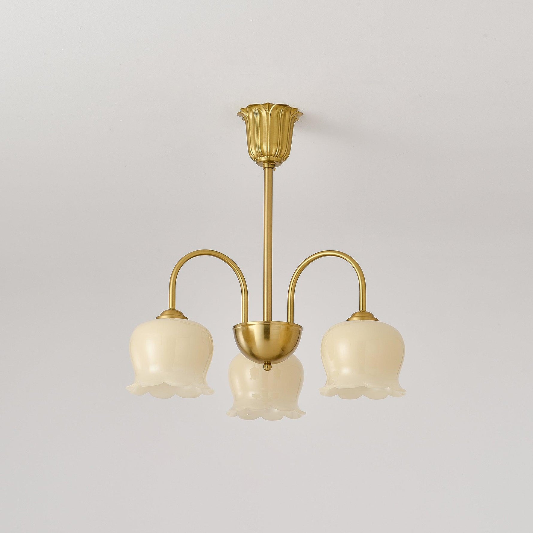Orchids Brass Chandelier - Lamp Outdoor