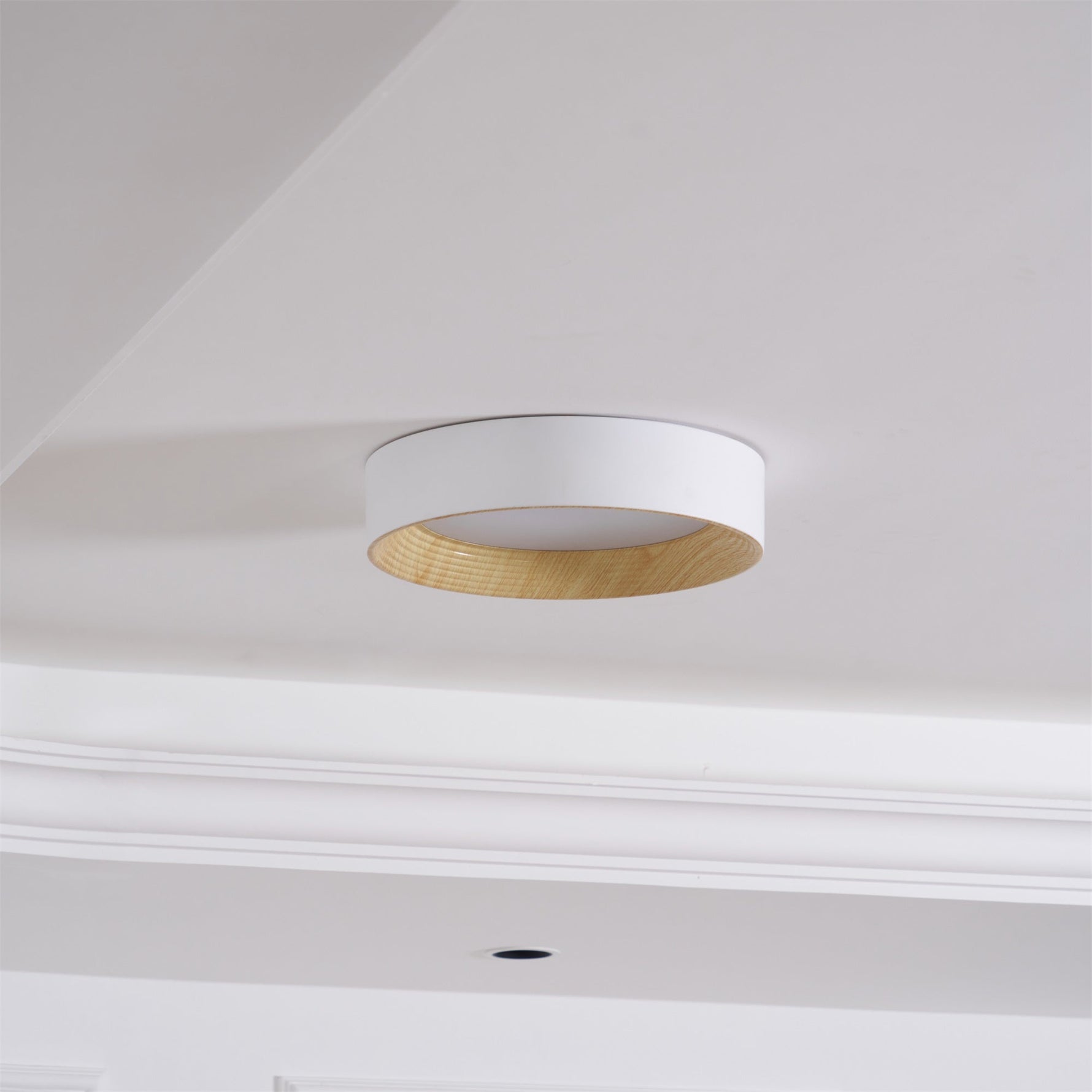 Oreen Ceiling Lamp - Lamp Outdoor