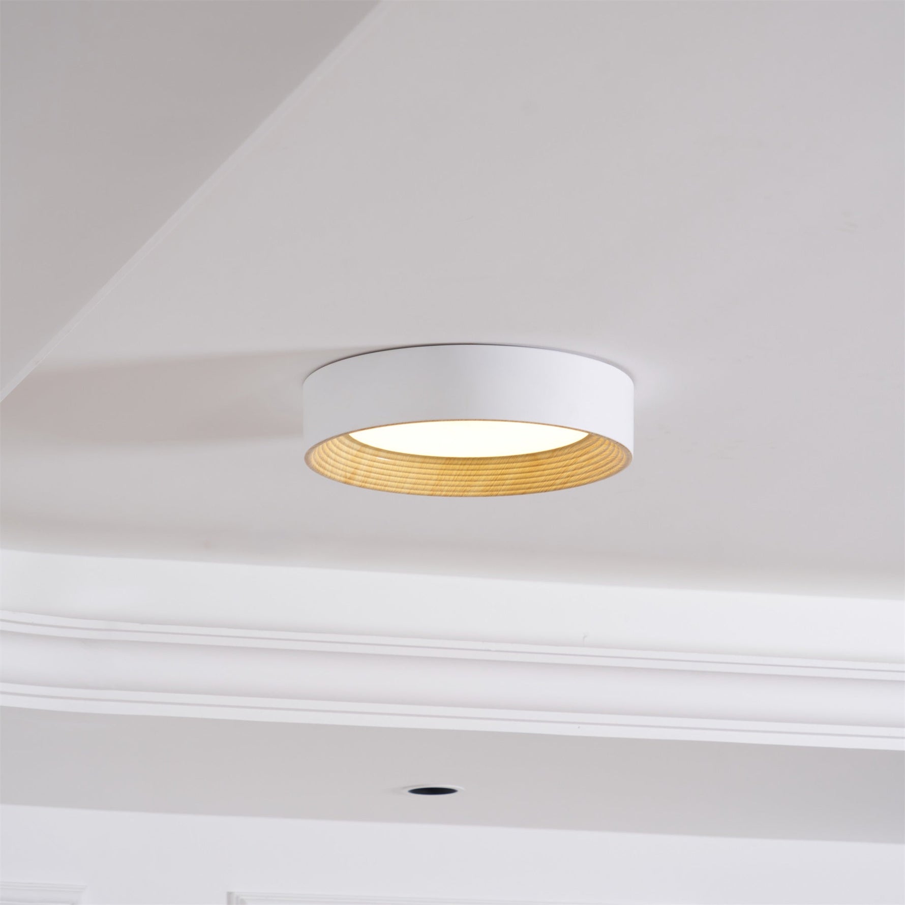 Oreen Ceiling Lamp - Lamp Outdoor