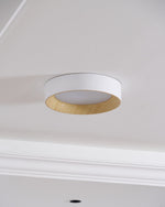 Oreen Ceiling Lamp - Lamp Outdoor