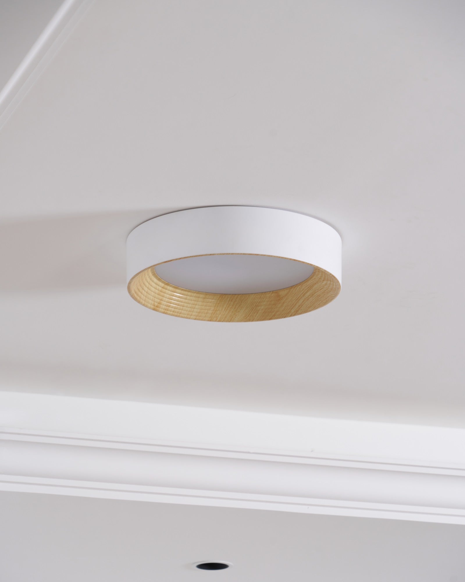 Oreen Ceiling Lamp - Lamp Outdoor