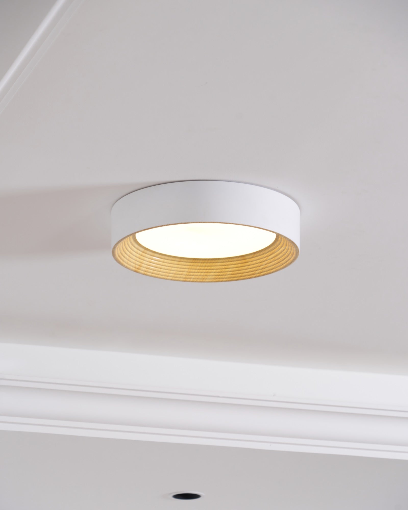 Oreen Ceiling Lamp - Lamp Outdoor