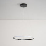 Orrery Rings Chandelier - Lamp Outdoor