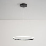 Orrery Rings Chandelier - Lamp Outdoor