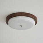 Orvella Ceiling Light - Lamp Outdoor
