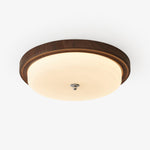 Orvella Ceiling Light - Lamp Outdoor