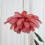 Ostrich Feather Chandelier - Lamp Outdoor