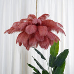 Ostrich Feather Chandelier - Lamp Outdoor