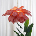Ostrich Feather Chandelier - Lamp Outdoor