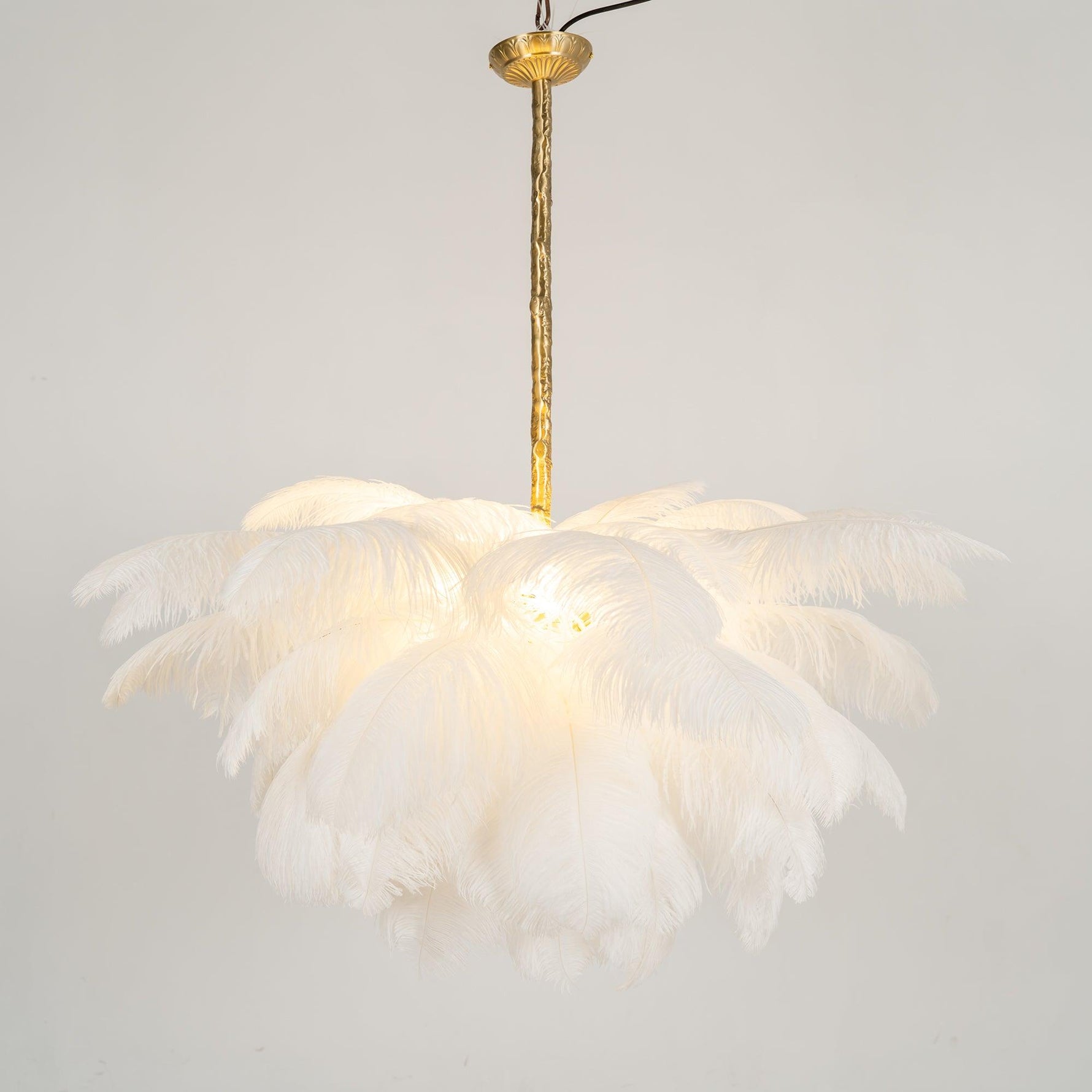 Ostrich Feather Chandelier - Lamp Outdoor