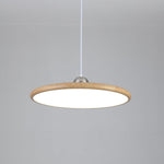 Chole Minimalist Metal Pendant Light - Lamp Outdoor