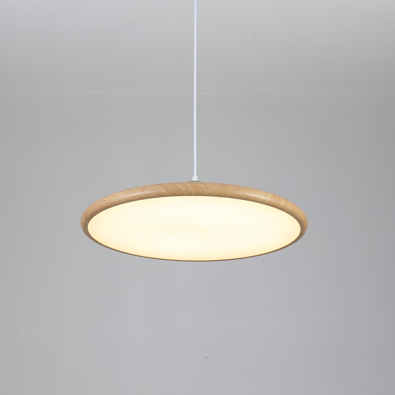 Chole Minimalist Metal Pendant Light - Lamp Outdoor