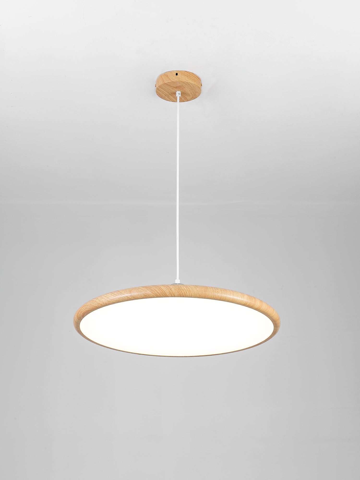 Chole Minimalist Metal Pendant Light - Lamp Outdoor